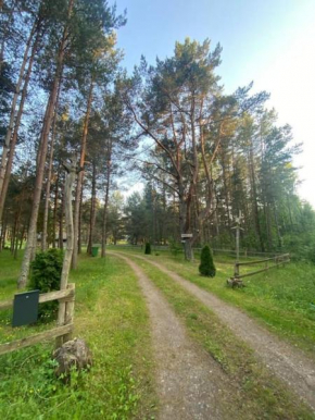 Charmante Ruheoase am Meer in Lettland in Miķeļtornis